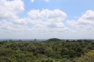 グアテマラの世界遺産ティカル遺跡の観光基本情報、行き方、入場料